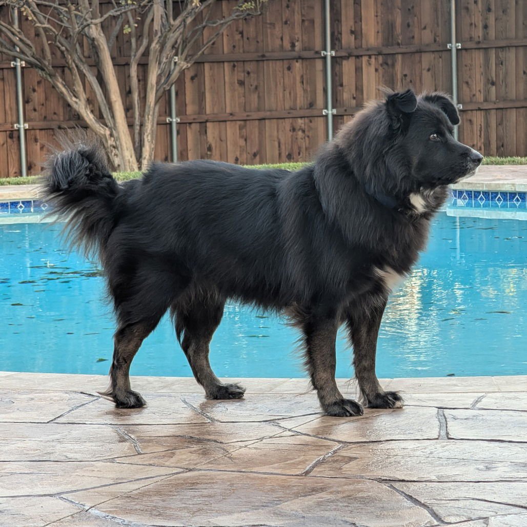 Bowie III (New Digs) - Photo 3