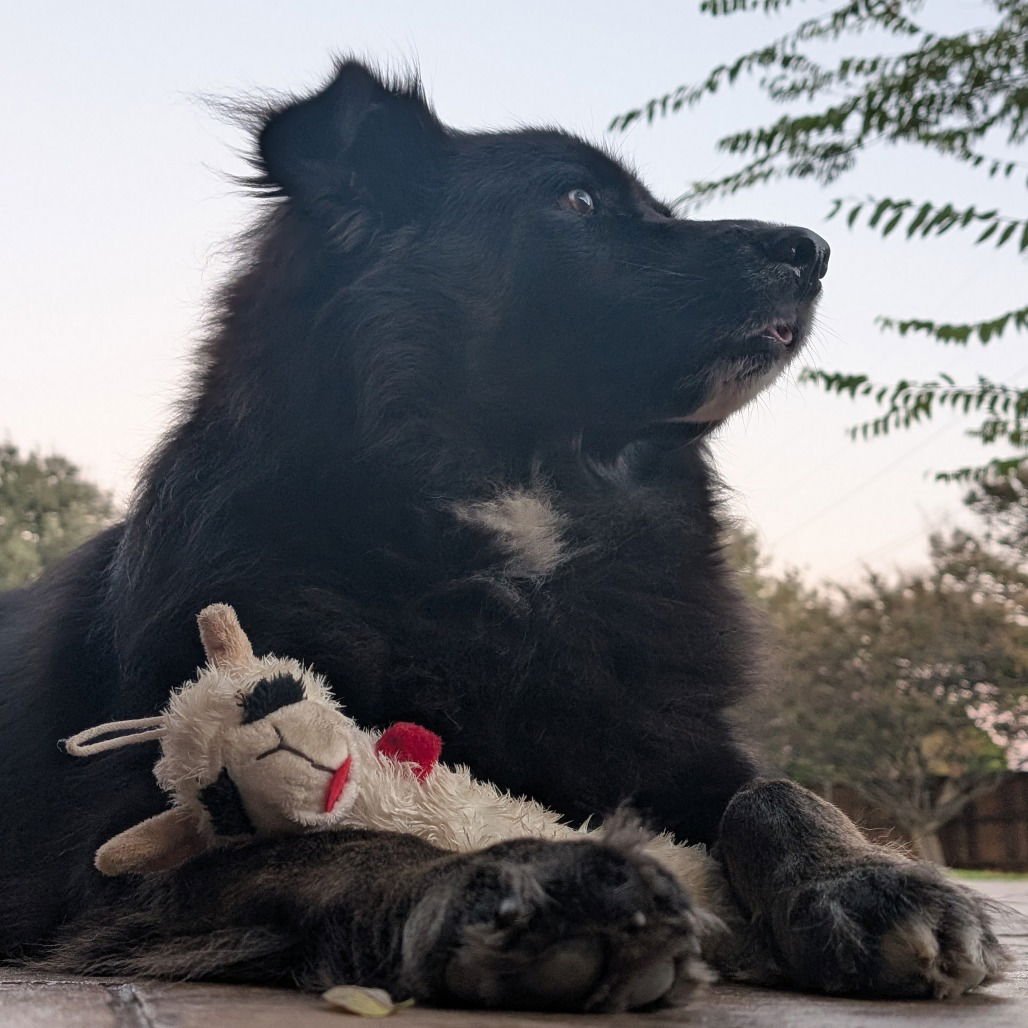 Bowie III (New Digs) - Photo 4