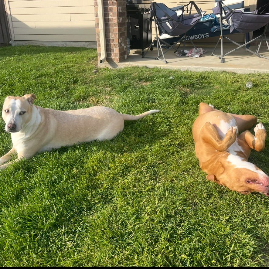 Willow III (New Digs) - Photo 3