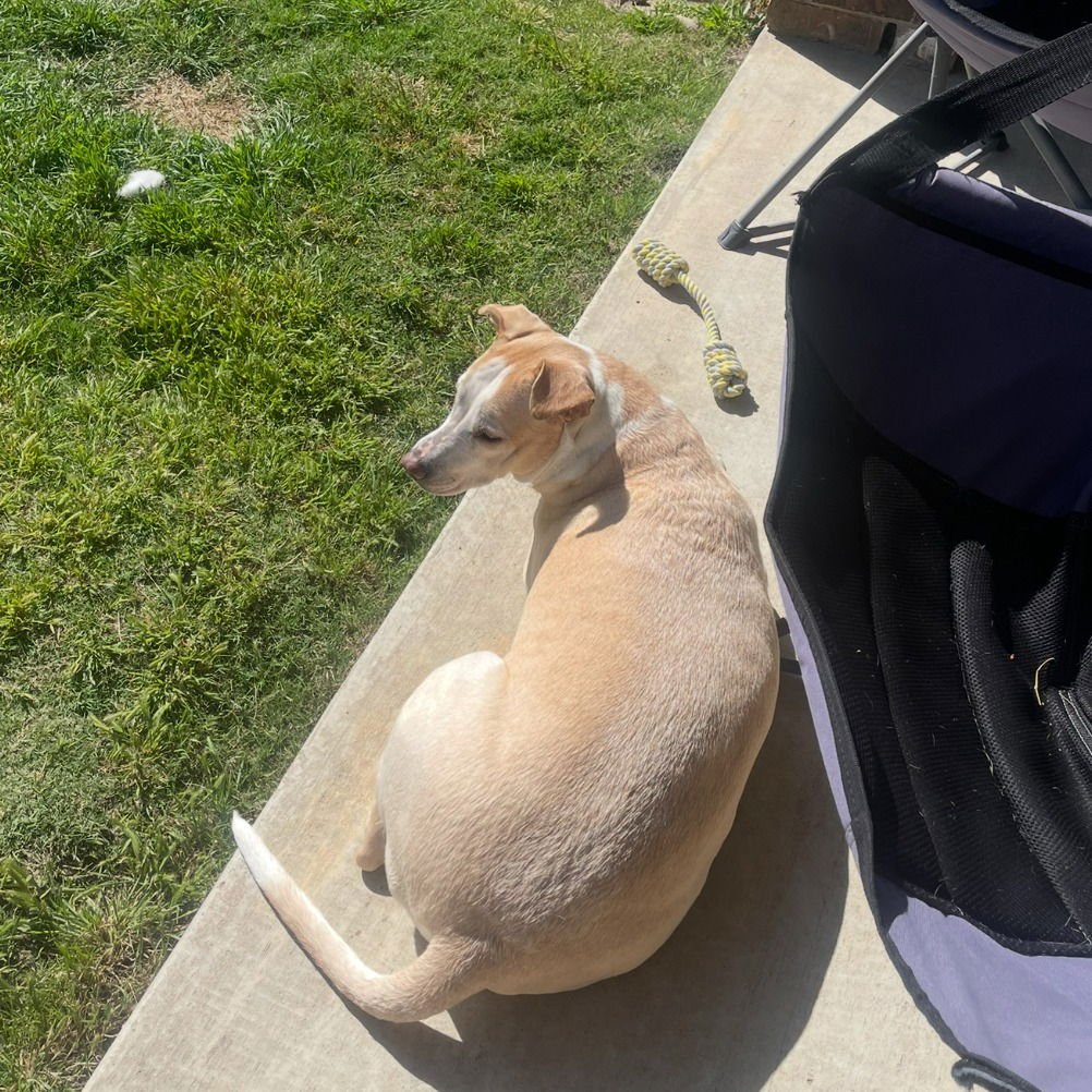 Willow III (New Digs) - Photo 4