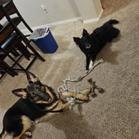 Nyla III (New Digs) - Photo 4
