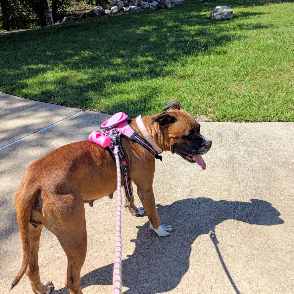 Shelby Grace (New Digs) - Photo 3