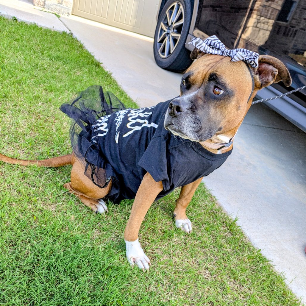 Shelby Grace (New Digs) - Photo 4