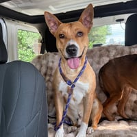 Frankie - Photo 2