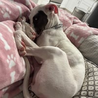 Kali - Photo 4