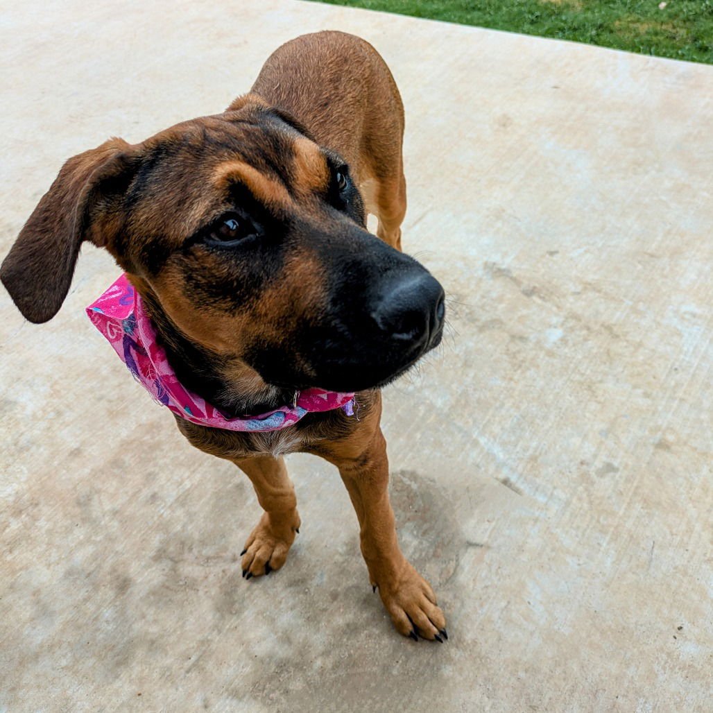 Shasta Gail (New Digs) - Photo 3