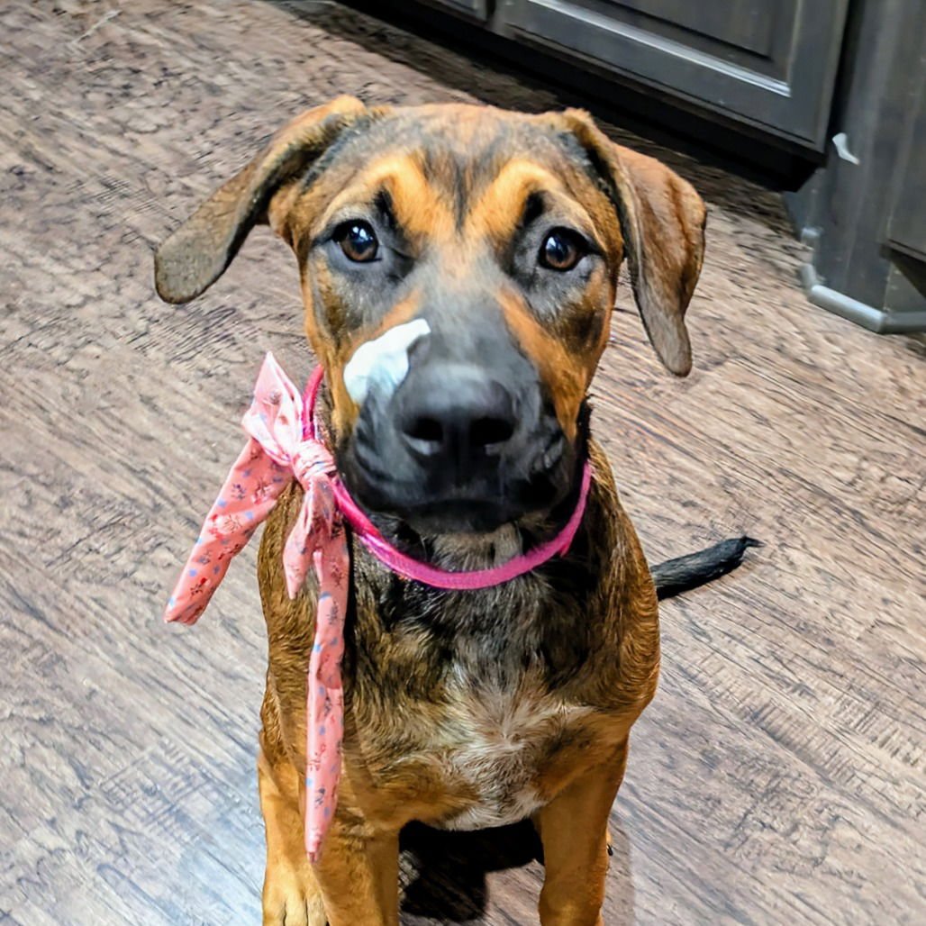 Shasta Gail (New Digs) - Photo 4