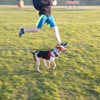 Zeke VI (New Digs) - Photo 4