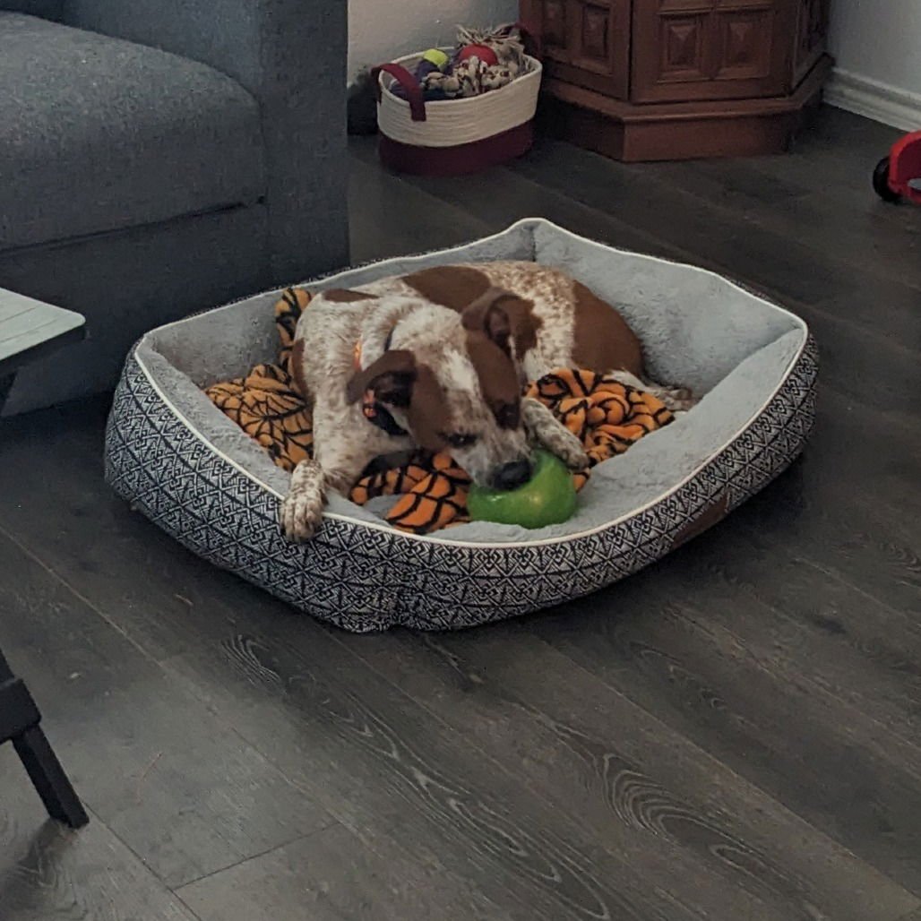 Sally (New Digs) - Photo 3