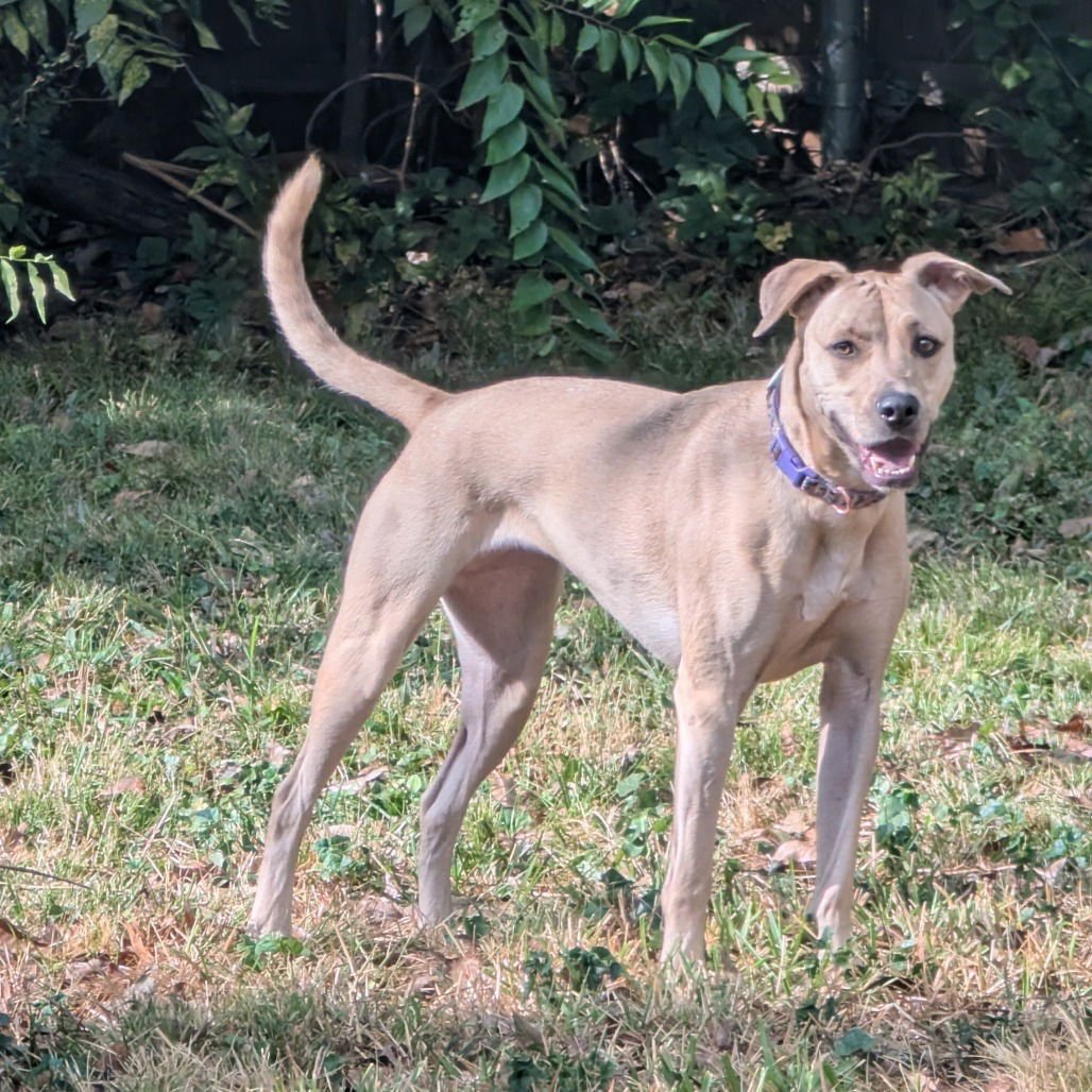 Luna XXIII (New Digs) - Photo 3