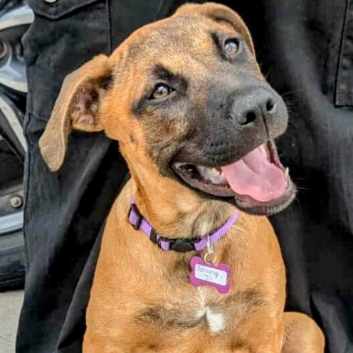 Sharae Jo (New Digs) - Photo 3