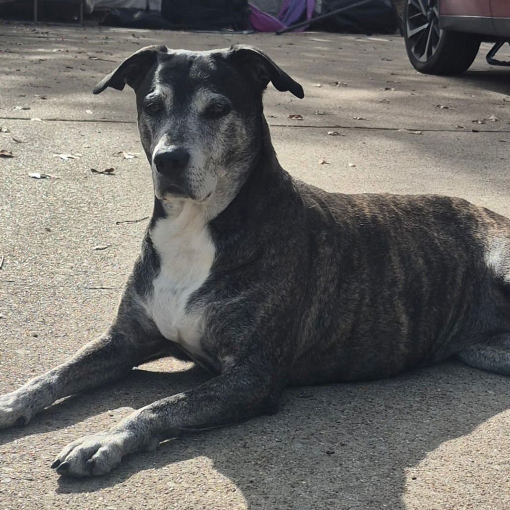 Zoey XI (New Digs) - Photo 4