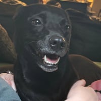 Stormy - Photo 4