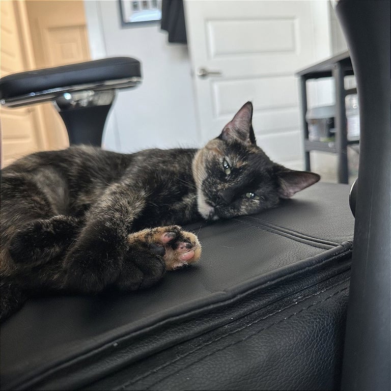 Suki Sue Image