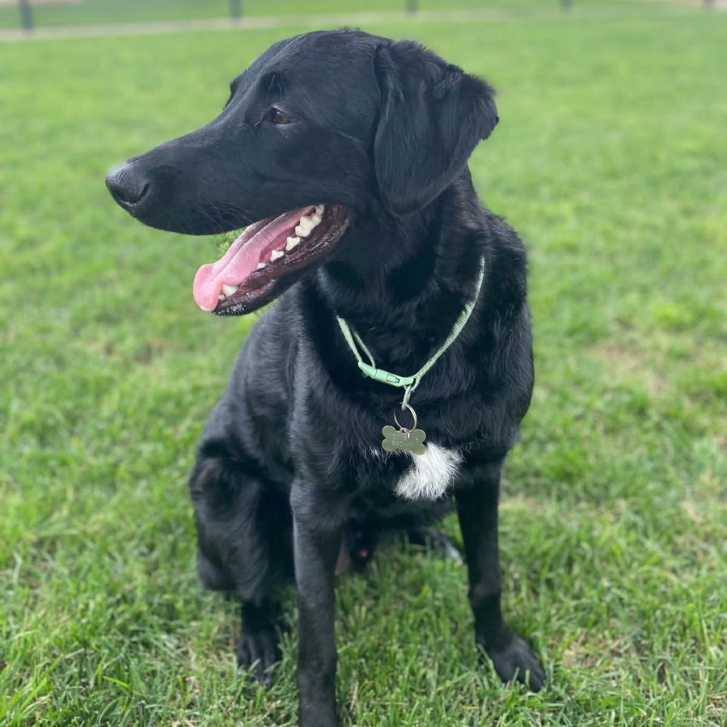 Midnight Train (New Digs) - Photo 3