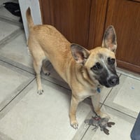 Bella XXVII (New Digs) - Photo 1