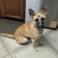 Bella XXVII (New Digs) - Photo 4
