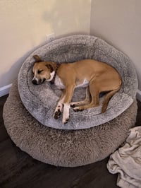 MARGE - Photo 3