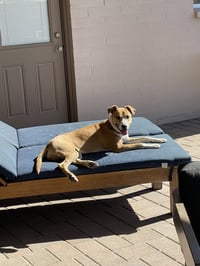 MARGE - Photo 4