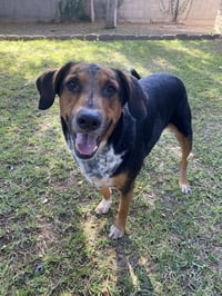 RESCUE - Photo 3