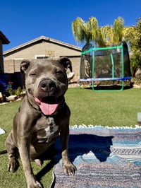 MICAH #4 - Photo 1