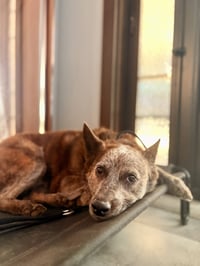 SOKKA #2 - Photo 2