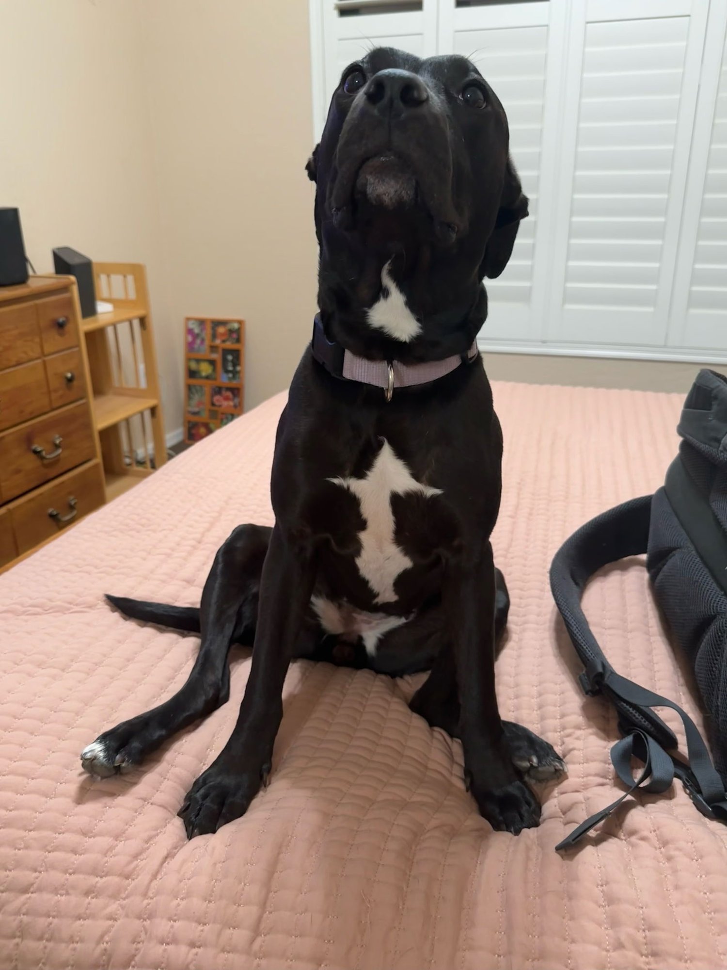 MURPHY #10 - Photo 3