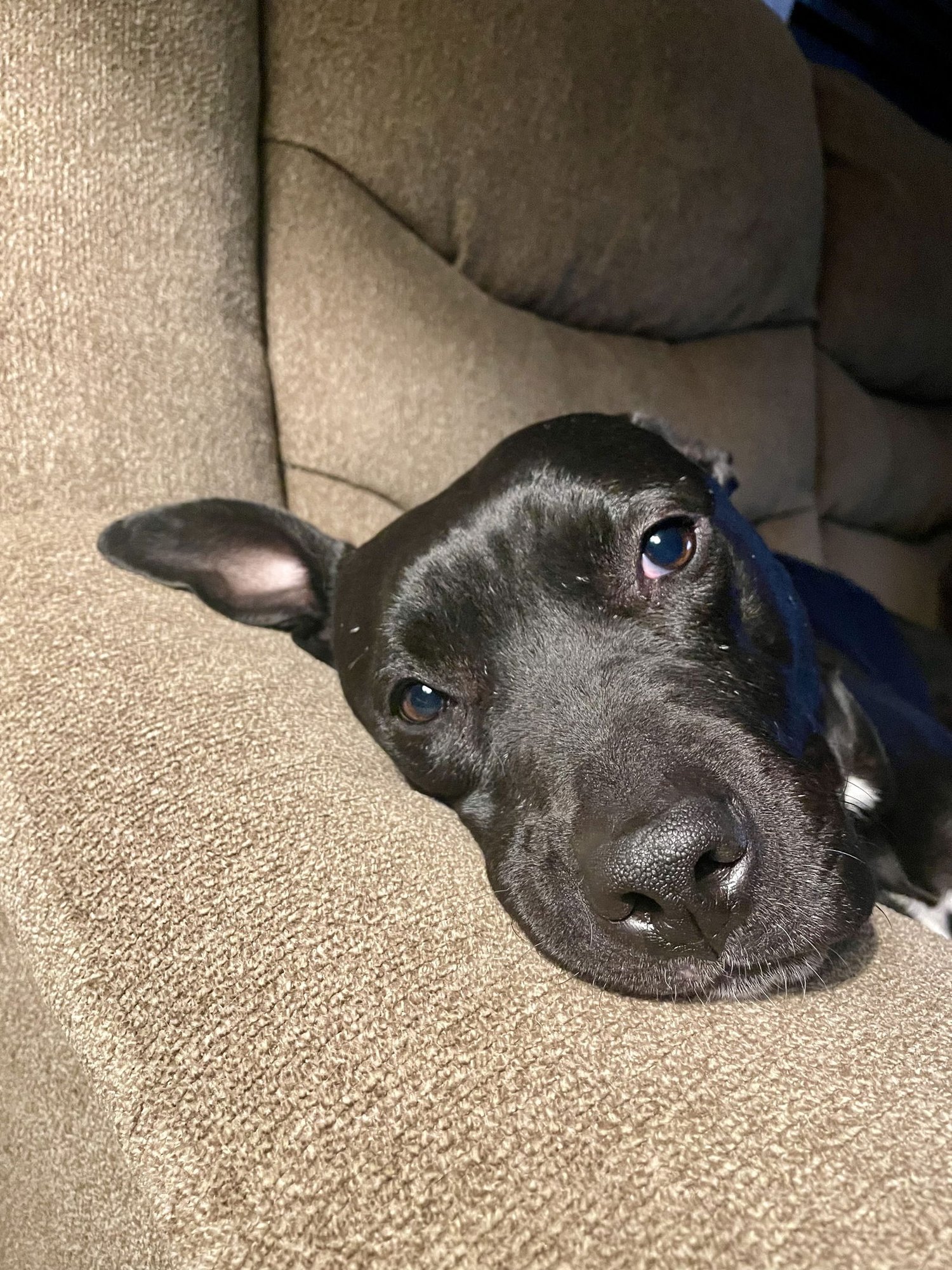 MURPHY #10 - Photo 4