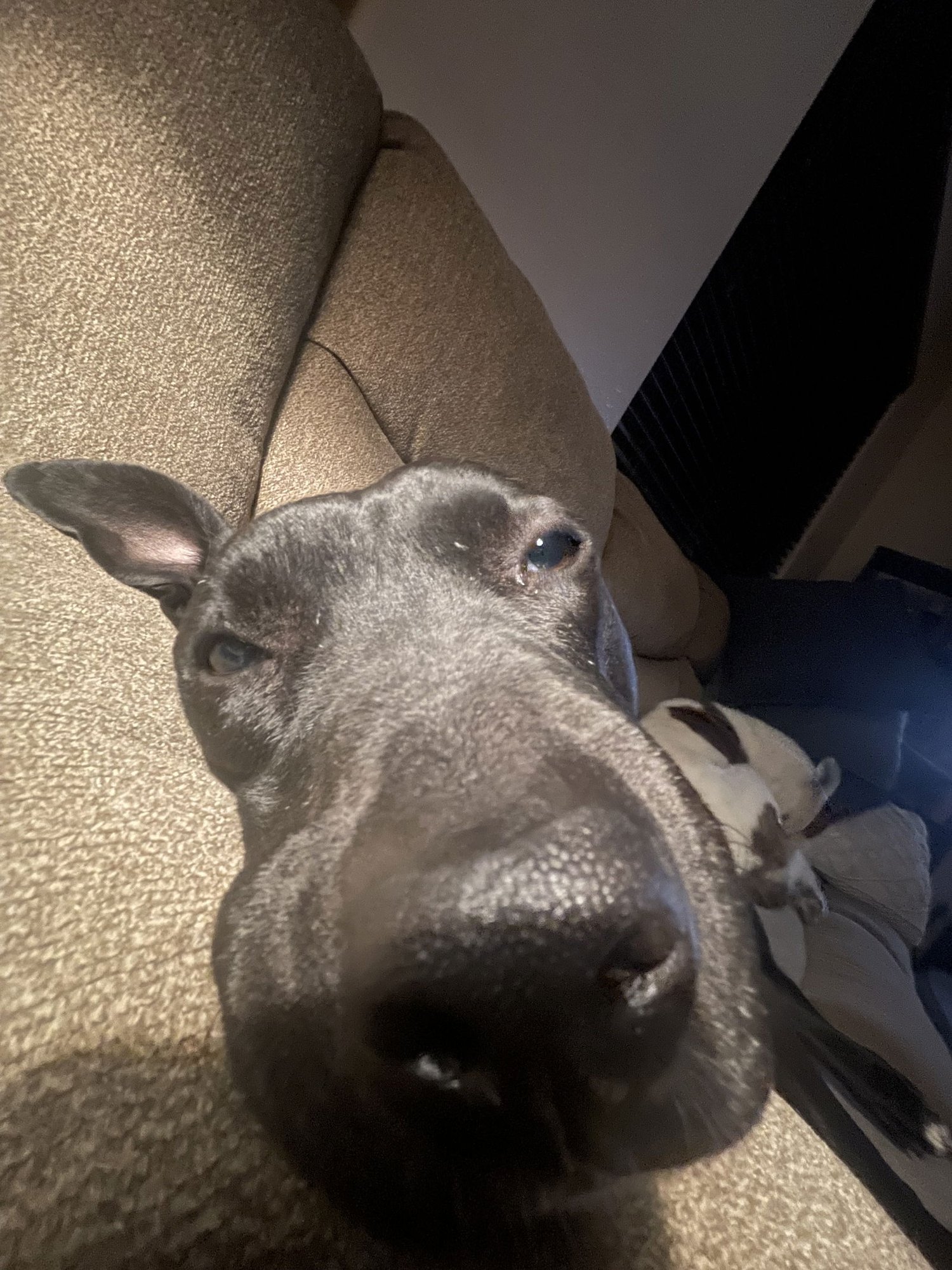 MURPHY #10 - Photo 5