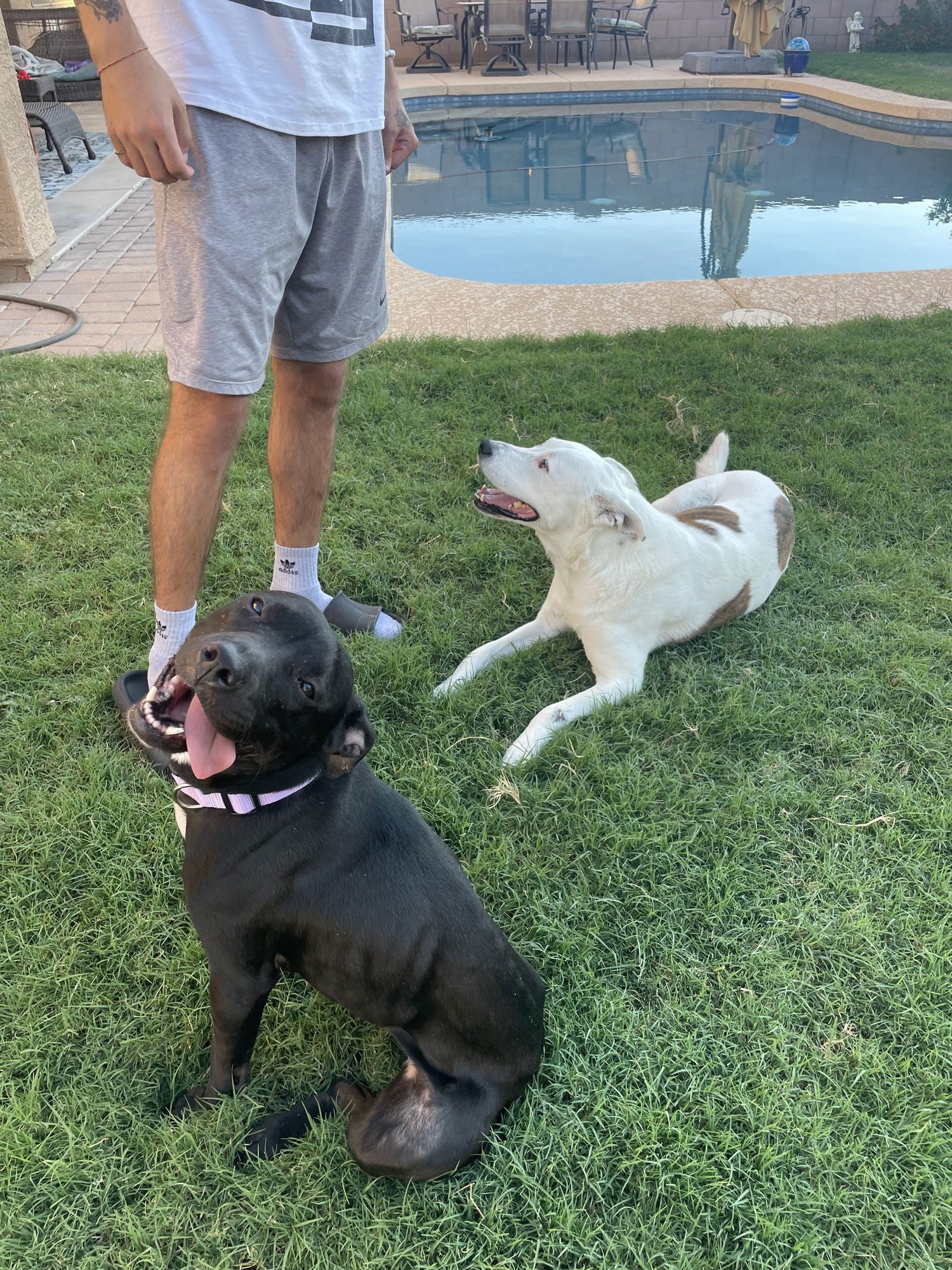 MURPHY #10 - Photo 6