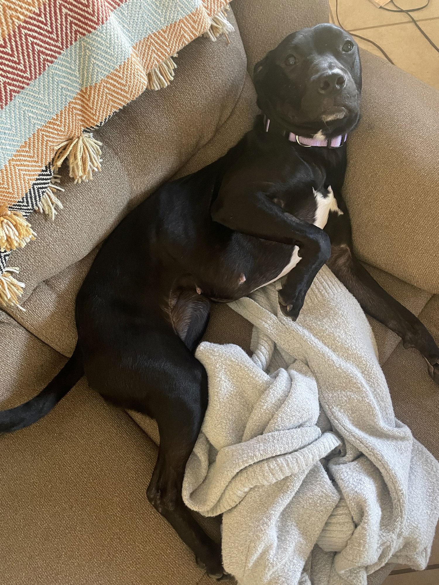 MURPHY #10 - Photo 7