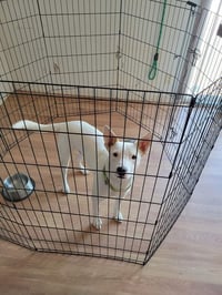 TOBY #10 - Photo 3
