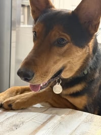 LOKI #12 - Photo 1