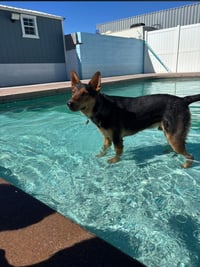 LOKI #12 - Photo 2