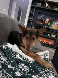 LOKI #12 - Photo 4