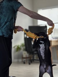 BLITZO - Photo 4