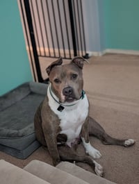 IZZY (prev. Marley) - Photo 2