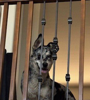 ATHENA #10 - Photo 5