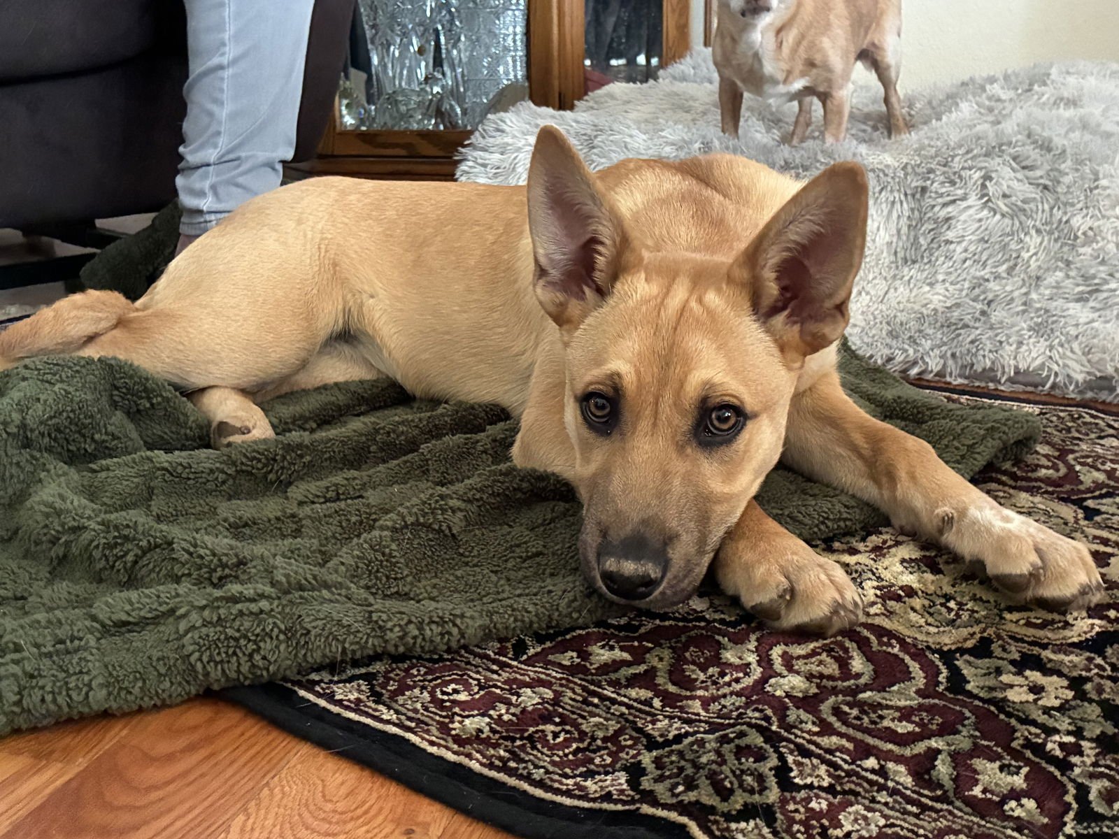 Marlee - Photo 5
