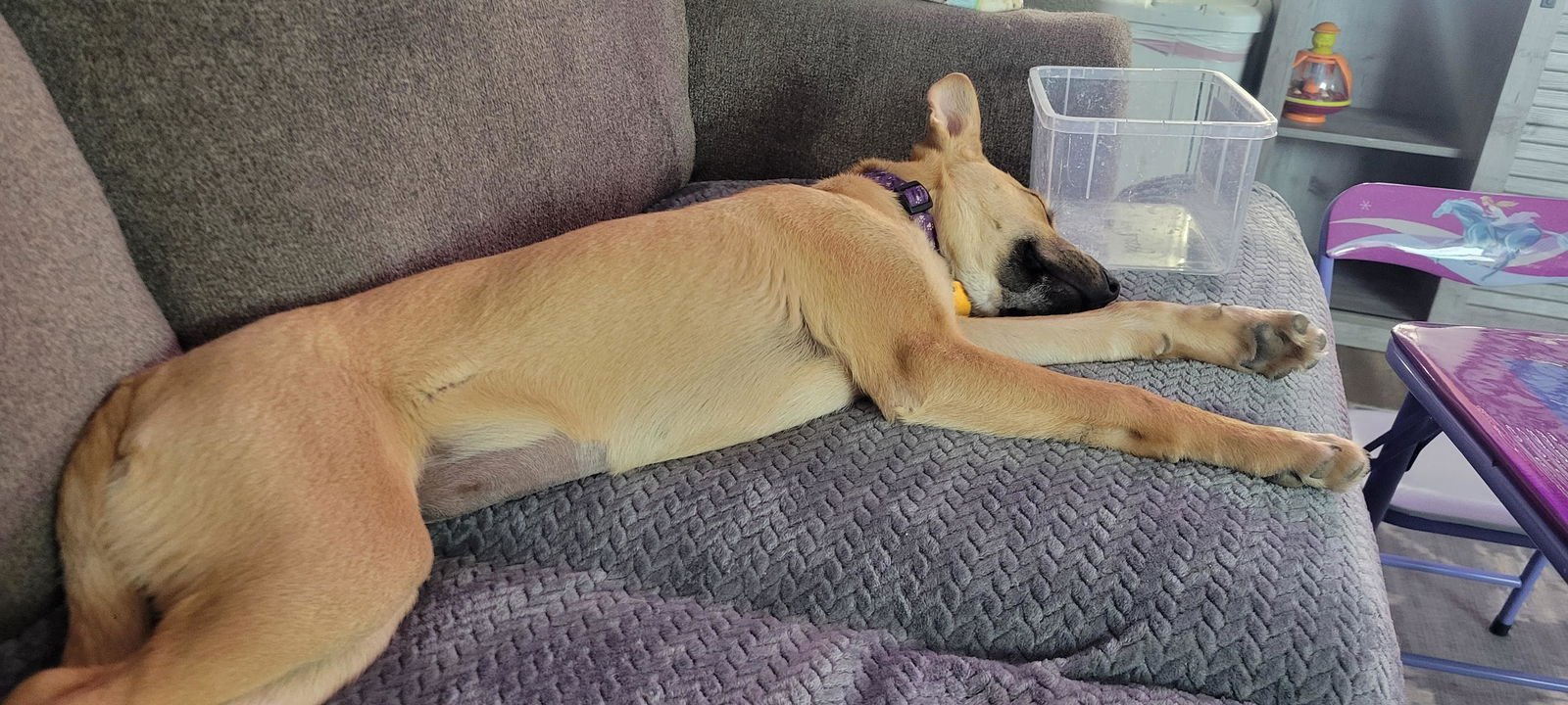 Marlee - Photo 7