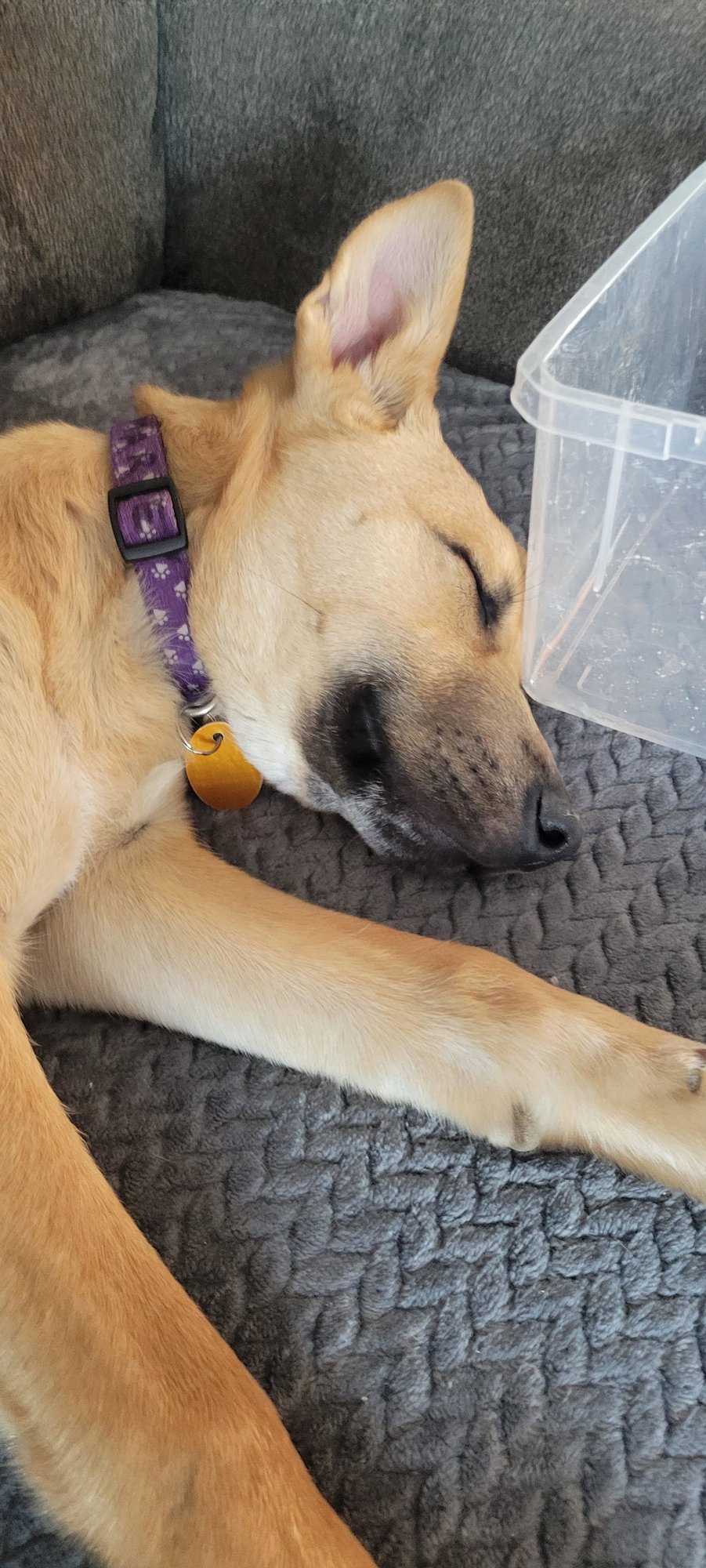 Marlee - Photo 8