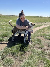 Stix  Sponsored Adoption Fee - Photo 13