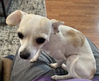 Fiona & Willow Bonded - Photo 5