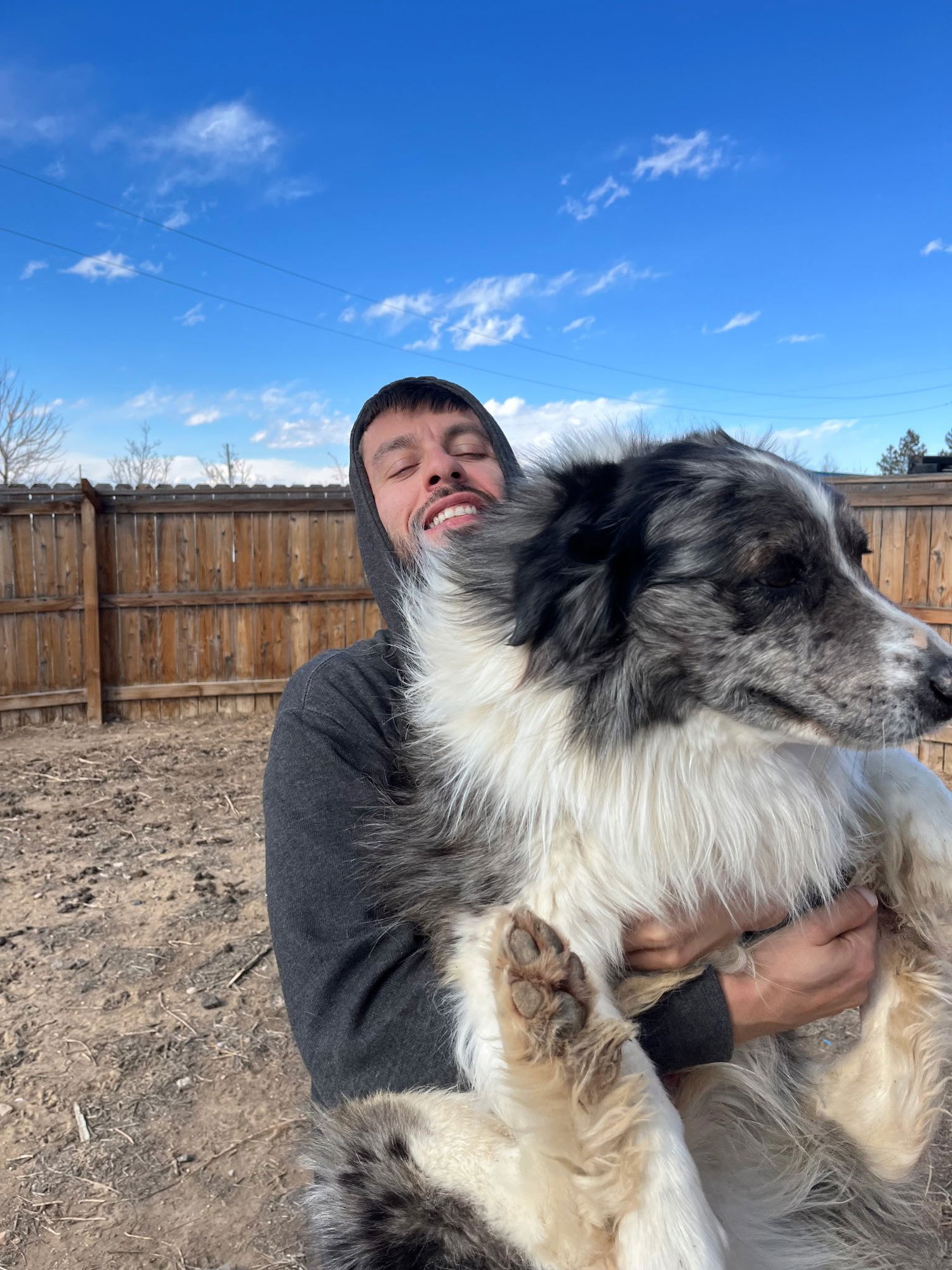 RICKY I NEED A HOME! COURTESY LISTING - Australian Shepherd / Australian Cattle Dog/Blue Heeler available for adoption