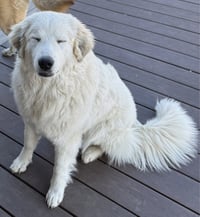 Belly - Photo 1