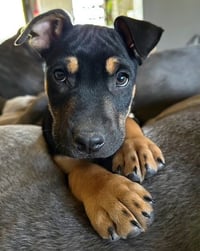 Asher - Photo 2