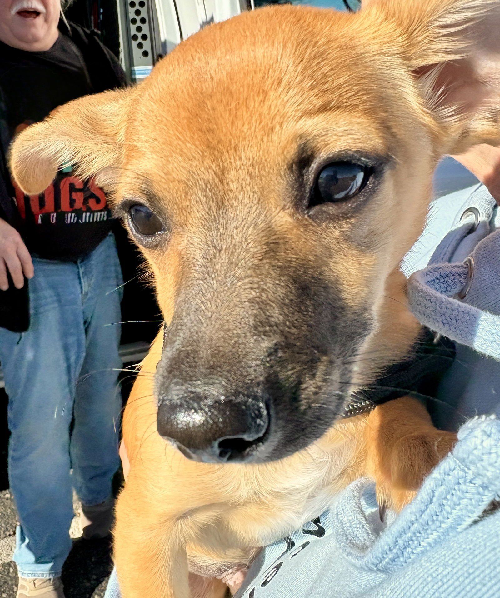 Tippy avail 2/11 - Photo 7