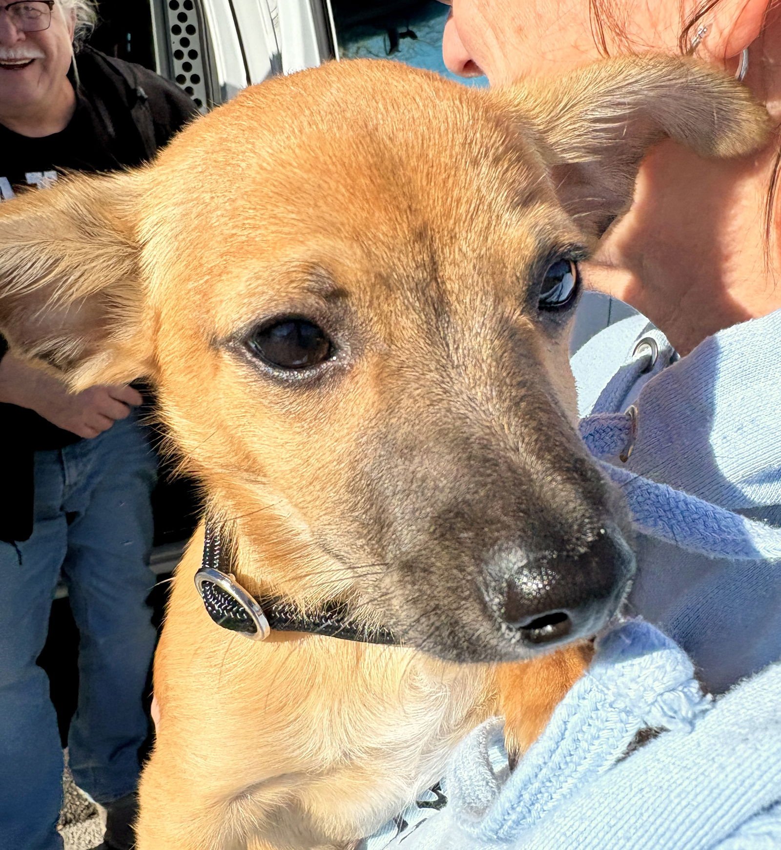 Tippy avail 2/11 - Photo 9