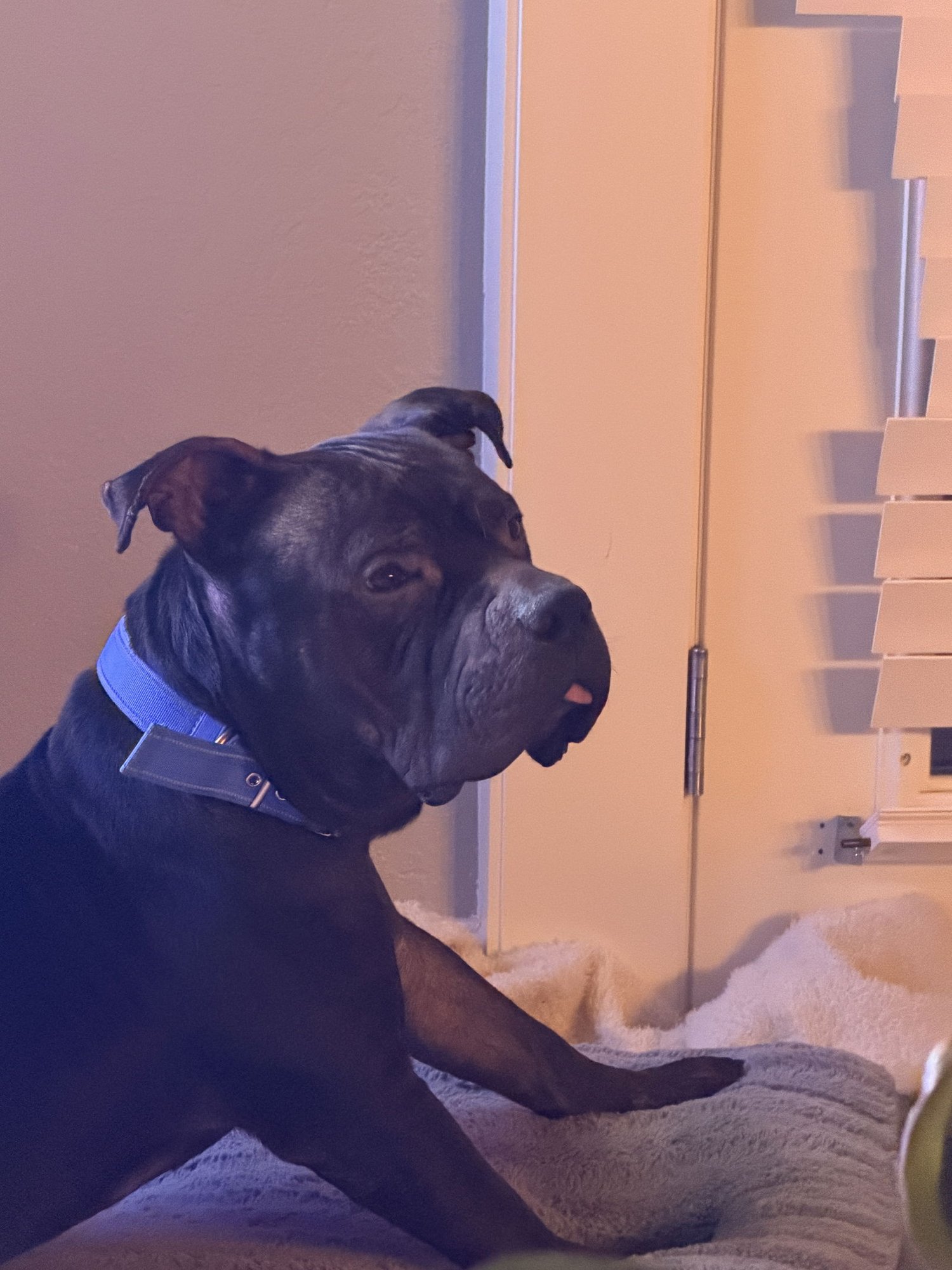 Tank courtesy listing - Photo 3