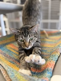 Madonna - Photo 2
